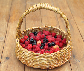 Fototapeta na wymiar Raspberries and blackberries lie in a wicker basket after harvesting. Tasty, sweet, juicy berries for vegetarian food are grown in an organic garden.