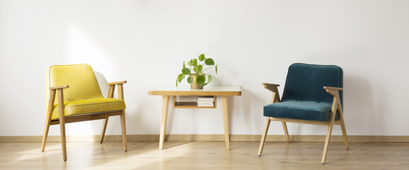 Simple living room with armchairs