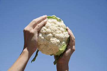 man holding a cauliflower against the blue sky