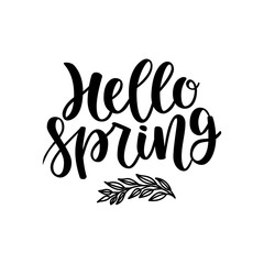 Hello spring postcard. Seasonal lettering. Ink illustration. Modern brush calligraphy. Isolated on white background. Hand lettering.