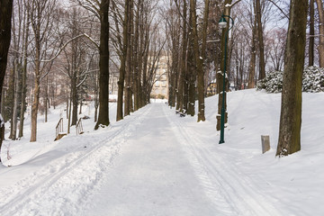 Winter alley
