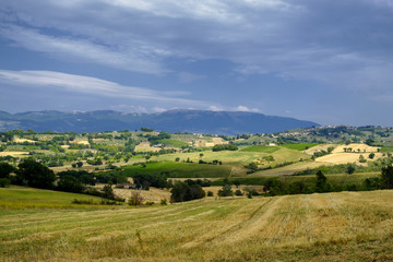 Landscape in Umbria at summer