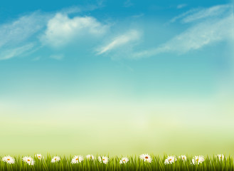 Retro nature background with green grass and sky . Vector.