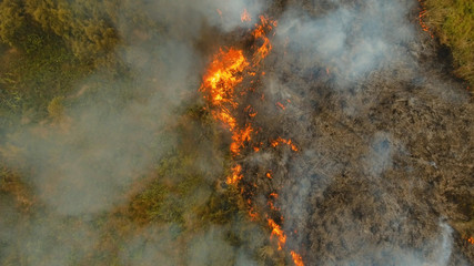 Aerial view forest fire on the slopes of hills and mountains. Forest and tropical jungle deforestation for human food farming and export. large flames from forest fire. Using fire to destroy natural