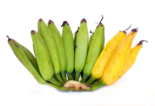 Musa Silver Bluggoe banana ,Kluai Hak Mook green and yellow color on white background