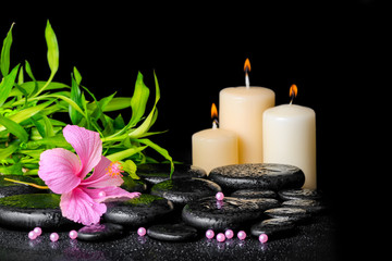 beautiful spa composition of pink hibiscus flower, twig bamboo, beads and candles on zen basalt stones with drops, closeup