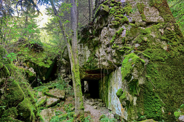 Fototapety na wymiar - Fototapeta24.pl