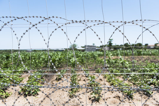 Food crops growing right up to the boundary of a protected area