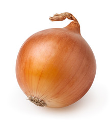 Bulb of onion isolated on white background with clipping path