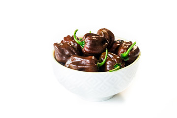 Habanero chocolate chili isolated on white background