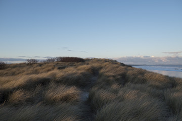 Northumberland sand dunes in druridge bay