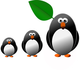 Penguin and family isolated on the white background