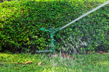 Automatic sprinkler water system for irrigation, garden or Garden lawn sprinkler in action for green grass and garden working early in the morning and evening.