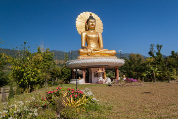 Buddha on the hill