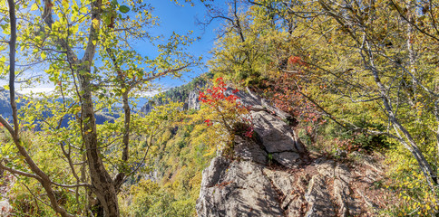 Panoramic view from the Eagle rocks. Sochi National Park, Russia.