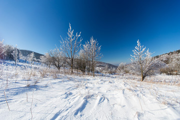 Winter landscape in dolnoslaskie region, Poland