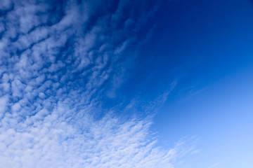 white cirrus clouds against blue sky. light, airy, white, cumulonimbus clouds in  bright blue sky on  frosty morning.