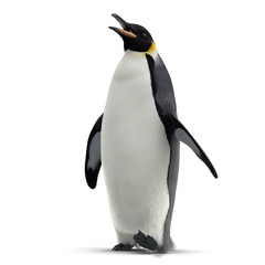 King penguin isolated on white. 3D illustration - obrazy, fototapety, plakaty