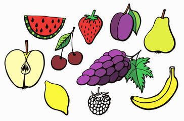 color set painted vector fruits
