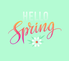 Hello spring card. Vintage lettering typography with camomile flower and green leaves. Vector illustration. EPS 10