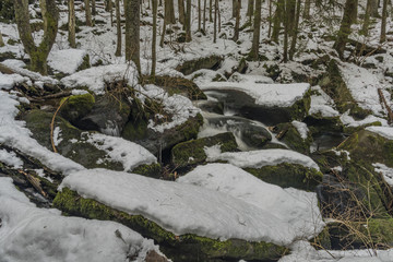 Mensi Vltavice river in snow winter day