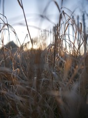 Sonnenuntergang im Frühling