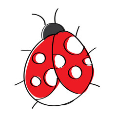 Obraz premium cute insect ladybug animal wildlife icon vector illustration