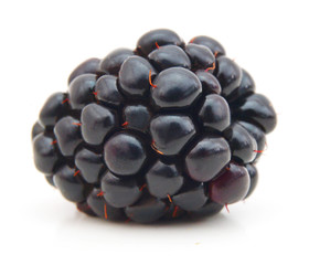 Ripe blackberry isolated on a white background
