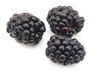 fresh blackberry isolated on a white background