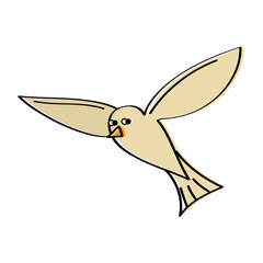 flying sea white bird seagull animal vector illustration