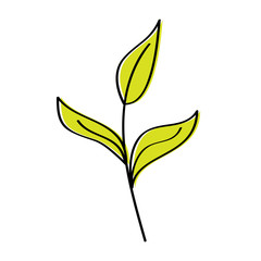 branch leaves plant natural botanical icon vector illustration