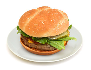 Tasty hot hamburger with onion, meat, tomatoes and salad in white plate