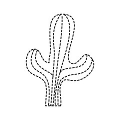 cactus desert plant decorative natural vector illustration dotted line design