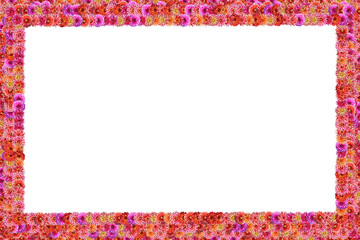 Frame of flowers for the postcard. A collage of photos of eight dahlias. Isolated on a white background