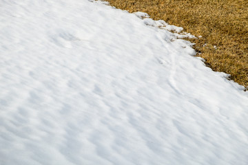 Snow texture