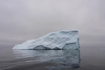 Sierkussen IJsberg in Antarctische zee © Alexey Seafarer