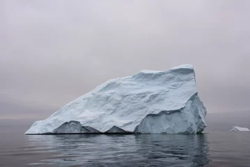 Foto op Plexiglas IJsberg in Antarctische zee © Alexey Seafarer