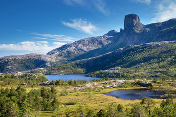 Fototapeta na wymiar Nationalpark in Norway