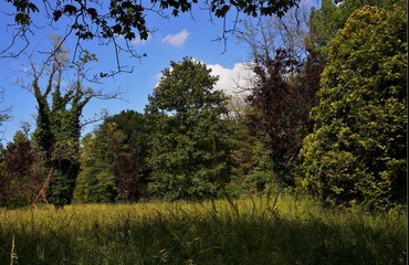 Tramonto in campagna