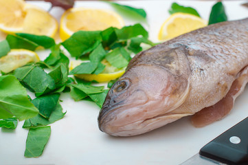 Raw fish with greens on a white cutting board