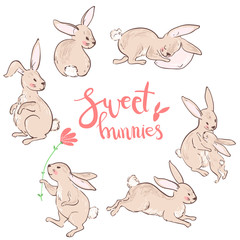 Vector sweet bunnies, character cute collection. Pastel colors. 