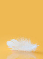 Fluffy white feather texture macro view. Luxury softness concept. Bird plumage feathering on yellow background. Shallow depth of field, soft focus. Copy space vertical photo