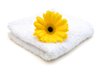 Obraz na płótnie Canvas Towel and daisy flower on white