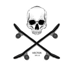 Skull and Bones. An image of the skull and skateboards. Can be used for printing on T-shirts, flyers, etc. Vector illustration