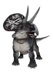 3D Rendering Dinosaur Zuniceratops on White