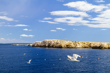 Adriatic sea, mountains and sky. Seagulls over water