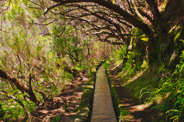 25 Fontes levada on Madeira island, Portugal