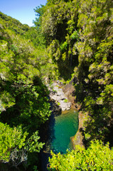 Fototapeta na wymiar Stream in the forest, Madeira, Portugal
