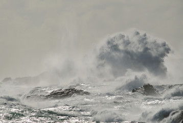 Rocky coast with rough sea and big wave when breaking, Telde, Gran canaria, canary islands