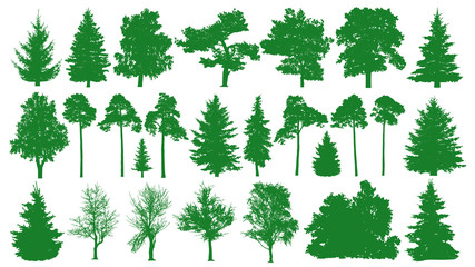 Green trees set. White background. Silhouette of a coniferous forest. Fir-tree, fir, pine, birch, oak, bush, branch.